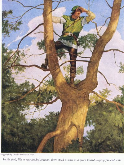 In de vork als een masttop zeeman, stond een man in een groene tabberd, spiedend ver en wijd door Newell Convers Wyeth
