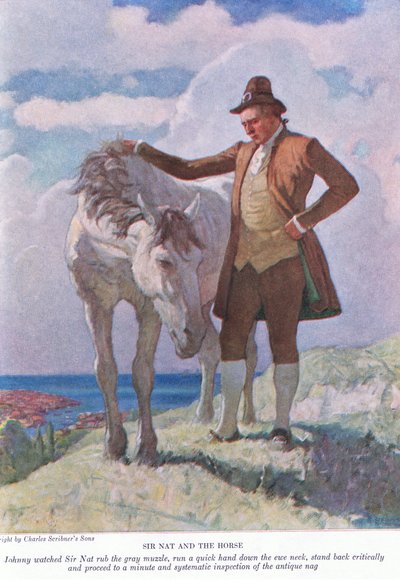 Sir Nat en het paard: Johnny keek toe hoe Sir Nat de grijze snuit wreef; stapte terug en begon aan een minutieuze en systematische inspectie door Newell Convers Wyeth