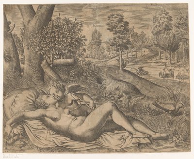 Venus en Amor door Niccolò Nelli
