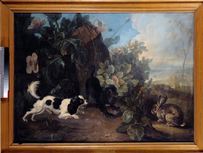 Twee honden en een konijn door Nicholas Desportes