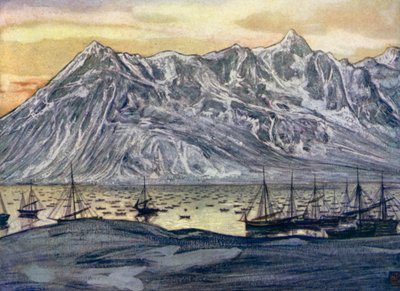 Vissersboten bij Lofoten, Noorwegen door Nico Jungman