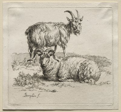 Animalia: Ram en Geit door Nicolaes Berchem