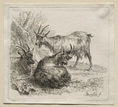 Animalia: Drie Geiten door Nicolaes Berchem
