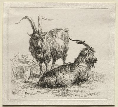 Animalia: Twee Geiten door Nicolaes Berchem