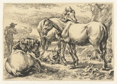 Drie paarden Dieren (serie titel) door Nicolaes Pietersz Berchem