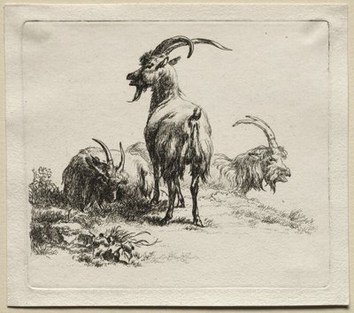 Drie Geiten door Nicolaes Pietersz. Berchem