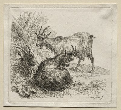 Drie geiten door Nicolaes Pietersz. Berchem