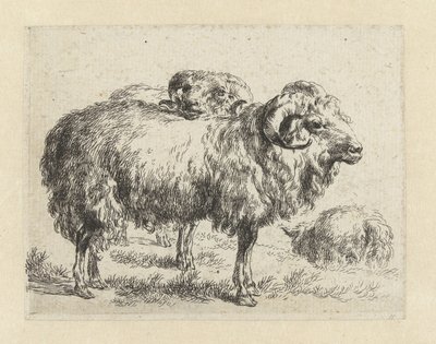 Twee rammen en een schaap door Nicolaes Pietersz Berchem