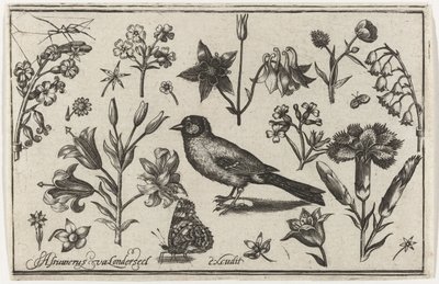 Bloemen, vlinder en een vogel door Nicolaes de Bruyn (possibly)
