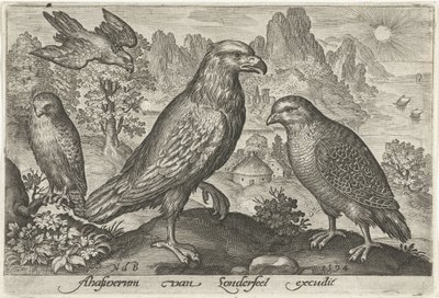 Arend en andere roofvogels door Nicolaes de Bruyn
