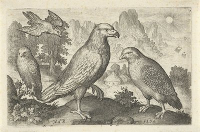 Arend en andere roofvogels door Nicolaes de Bruyn