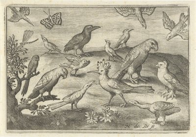Hop en andere vogels door Nicolaes de Bruyn