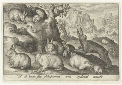 Konijnen, eekhoorn, cavia en muis door Nicolaes de Bruyn