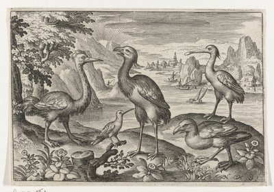 Kroonkraanvogel tussen twee struisvogels door Nicolaes de Bruyn