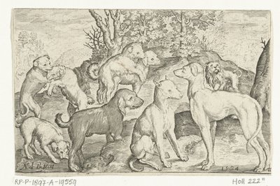 Negen honden Animalivm qvadrvpedvm Dieren in landschappen (serie) door Nicolaes de Bruyn