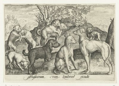 Negen honden door Nicolaes de Bruyn