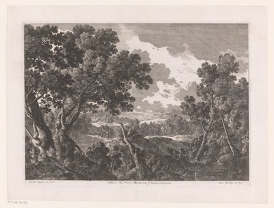 Landschap met bomen door Nicolas Perelle