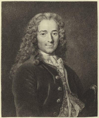 Voltaire door Nicolas de Largillière