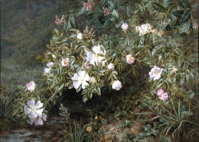 Een studie van Hondsrozen, ca. 1900 door Niels Pieter Rasmussen