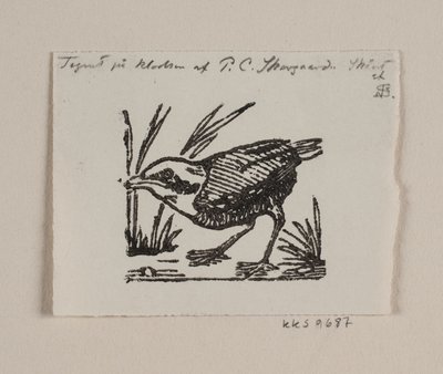 Een vogeljong door Niels Skovgaard
