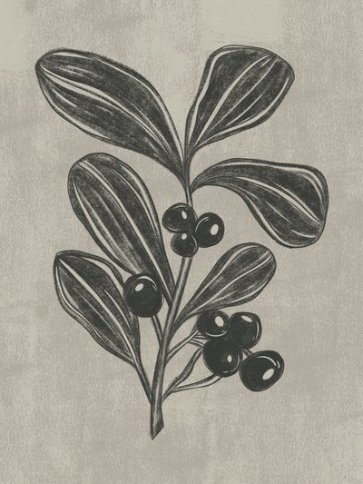Botanische schets van een bes door Nikita Jariwala
