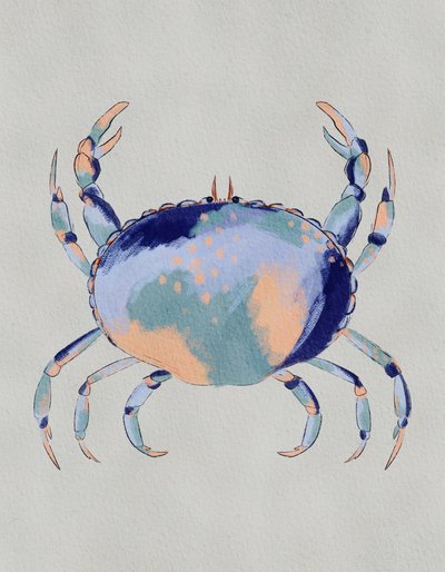 Serene Blauwe Krab door Nikita Jariwala