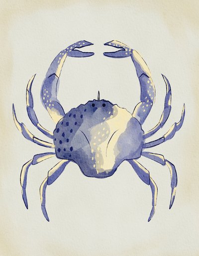 Aquarel: Blauwe krab door Nikita Jariwala