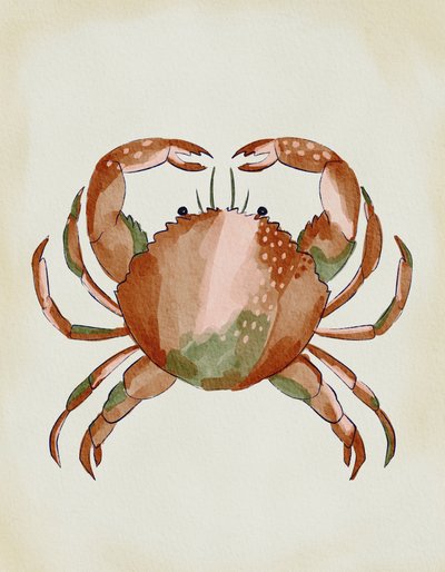Krab in aquarel door Nikita Jariwala