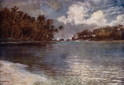 Bij Rif en Palm door Norman Hardy