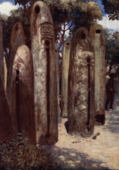 Drum Grove in Mele, Nieuwe Hebriden door Norman Hardy
