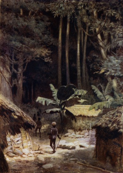 Aan de Rand van een Oerwoud, Salomonseilanden door Norman Hardy