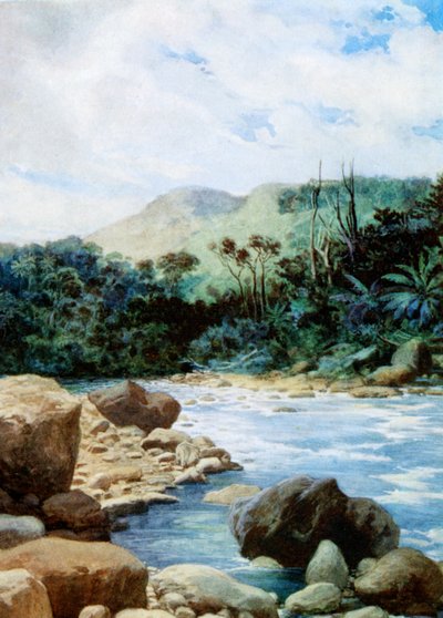 Landschap in Eromanga, Nieuwe Hebriden, 1908 door Norman Hardy