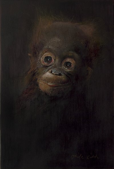 Baby orang-oetan 1, 2009 (acryl op hout) door Odile Kidd