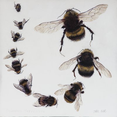 Bombus, 2015 (acryl op gegessuurd hout) door Odile Kidd