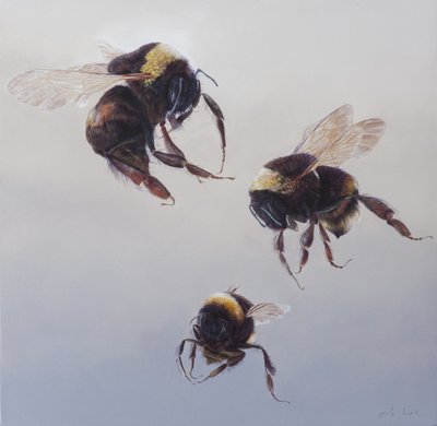 Bombus vlucht 1, 2011 (acryl op hout) door Odile Kidd