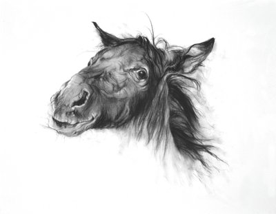 Colt, 2002 (houtskool op Fabriano-papier) door Odile Kidd