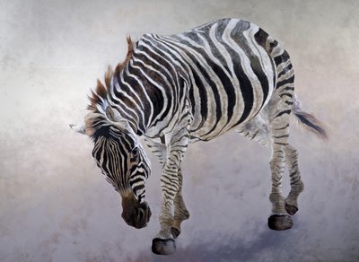 Equus burchelli 2, 2010 (acryl op doek) door Odile Kidd