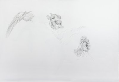 Estella rijnveld 1, 2013 (potlood op patroonpapier) door Odile Kidd