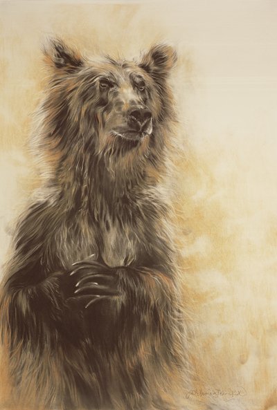 Grizzly Bear 1, 2002 (carbon potlood, houtskool  krijt) door Odile Kidd