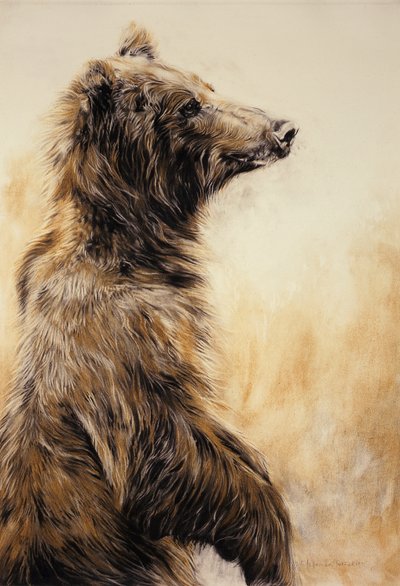 Grizzly Bear 2, 2002 (carbonpotlood, houtskool  krijt) door Odile Kidd