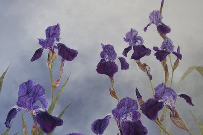 Iris hybrida (detail), 2015 (acryl op gegessuurd hout) door Odile Kidd