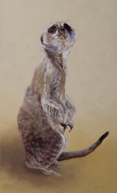 Stokstaartje 2, 2010 (acryl op hout) door Odile Kidd
