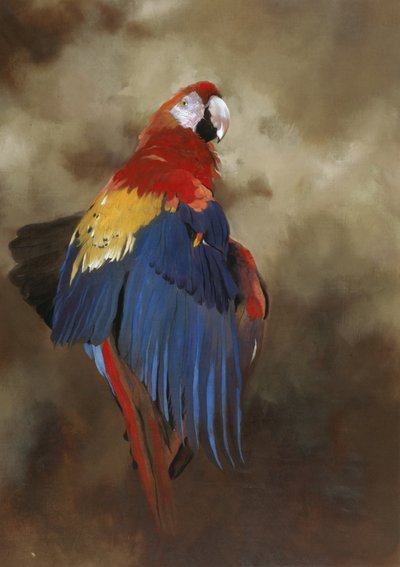 Scharlaken Ara 1, 2000 (acryl op linnen) door Odile Kidd