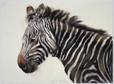 Zebra, 2002 (houtskool  krijt) door Odile Kidd