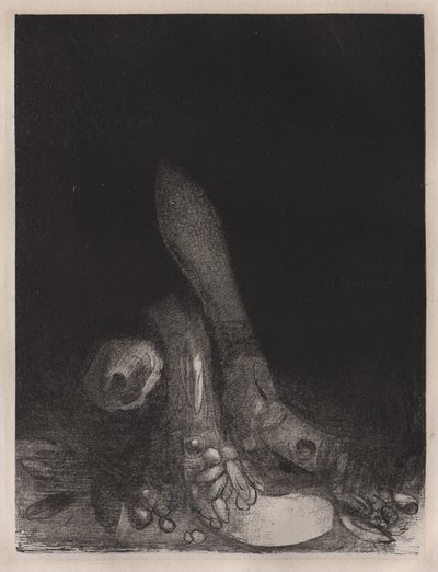 Bloemen Vallen en het Hoofd van een Python Verschijnt door Odilon Redon