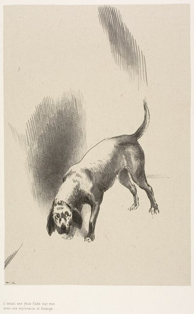 Hij [de hond van de verteller] hield zijn ogen op mij gericht met zo