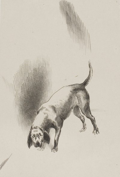 Hij [de hond van de verteller] hield zijn ogen op mij gericht met zo