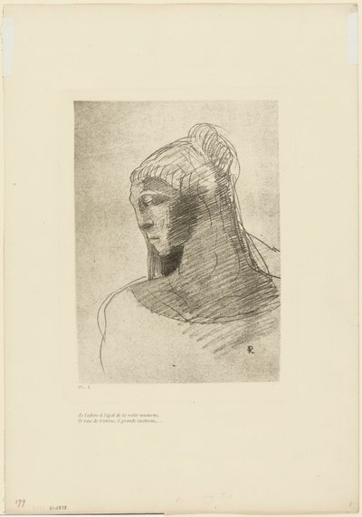 Ik Aanbid Je Zoals Ik de Gewelven van de Nachtelijke Hemel Aanbid, O Vat van Verdriet, O Lange Stille Vrouw, plaat 2 van 9 door Odilon Redon