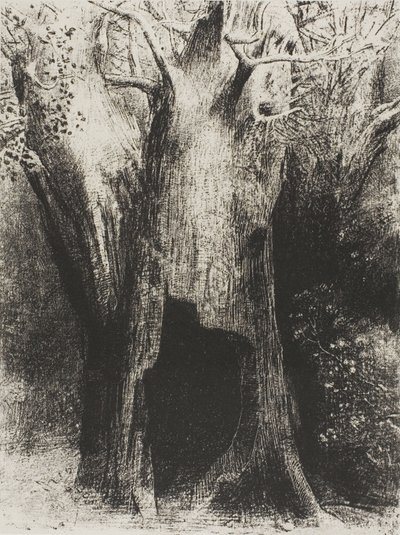 Ik Dook in de Eenzaamheid. Ik Woonde in de Boom achter Mij, plaat 9 van 24 door Odilon Redon