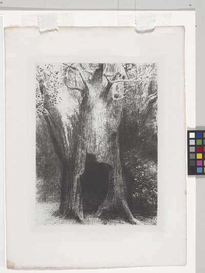 Ik Ben In De Eenzaamheid Gedoken door Odilon Redon
